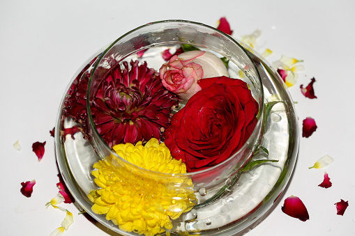 Colorful flowers in a bowl filled with water isolated on white background table top spin view.