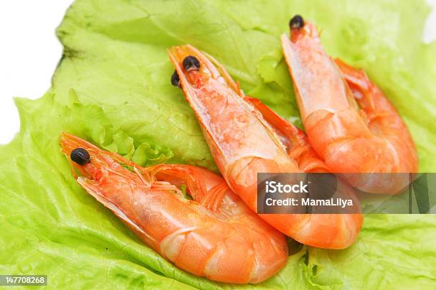 Shrimps Stockfoto und mehr Bilder von Erfrischung - Erfrischung, Fische und Meeresfrüchte, Fotografie