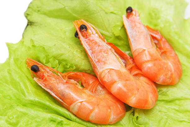 shrimps stock photo