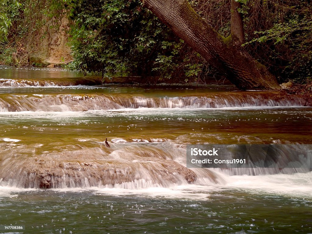 De agua estancada - Foto de stock de Aire libre libre de derechos