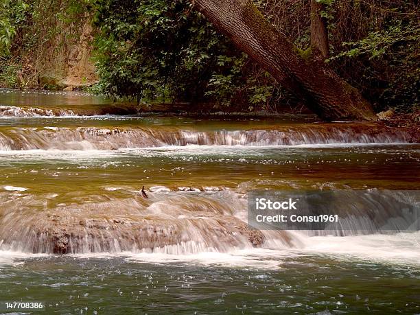 De Agua Estancada Foto de stock y más banco de imágenes de Aire libre - Aire libre, Comunidad Autónoma de Aragón, Escapada urbana