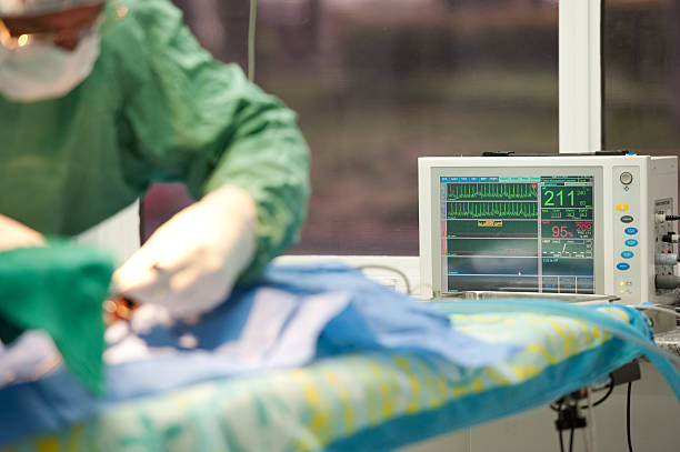 focus on life support monitor for a cat under anesthesia