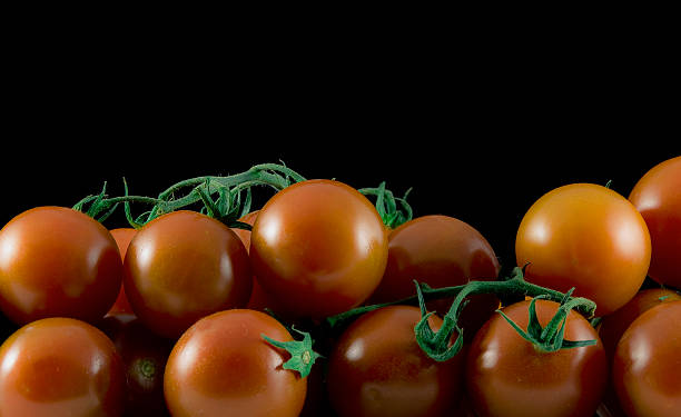 Organic Tomatoes stock photo