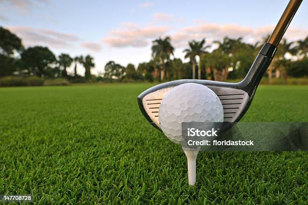 Golf Ball On Tee With Driver At Dawn Stock Photo - Download Image Now - Florida - US State, Golf, Lifestyles