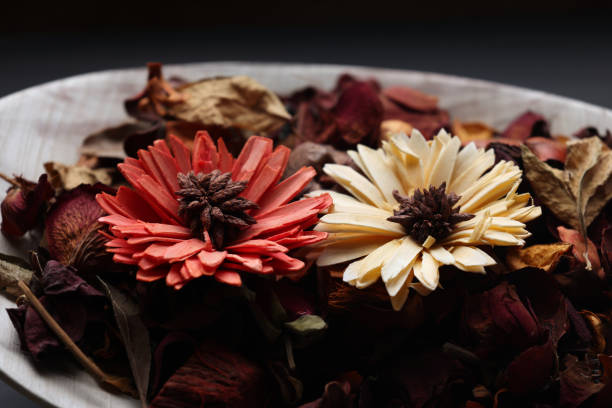 istock Two color dry flower background 1477088512