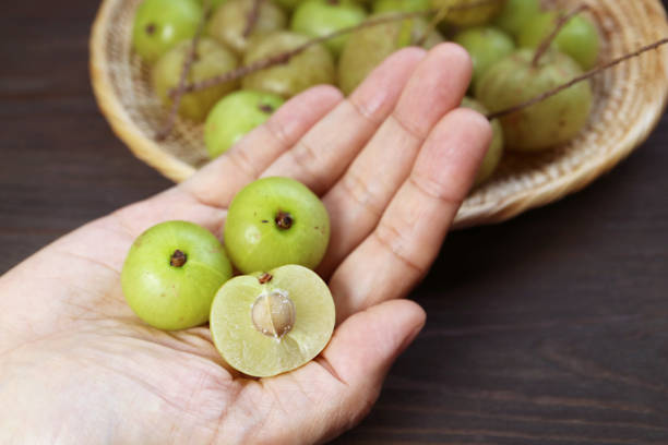 신선한 인도 구스베리 또는 amla 횡단면과 전체 과일 - gooseberry 뉴스 사진 이미지