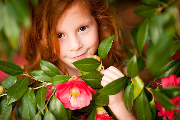 Redhead Beautiful girl looking through red flowers stock photo