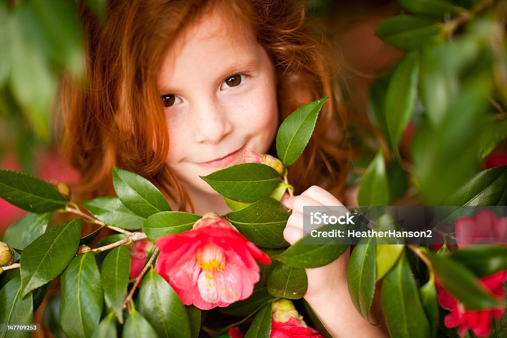 Redhead piękna Dziewczyna wygląda przez czerwone kwiaty - Zbiór zdjęć royalty-free (6-7 lat)