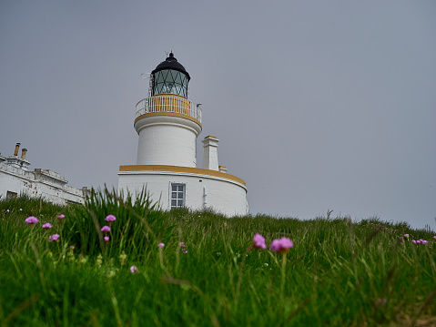 Chanonry lighthouse at the coastline of the atlantic ocean in Scotland is famous for Dolphins at high tide.