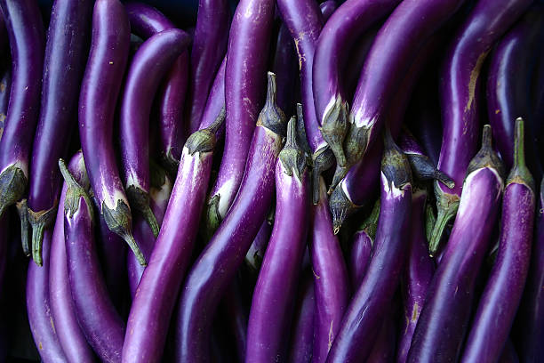 Eggplants stock photo