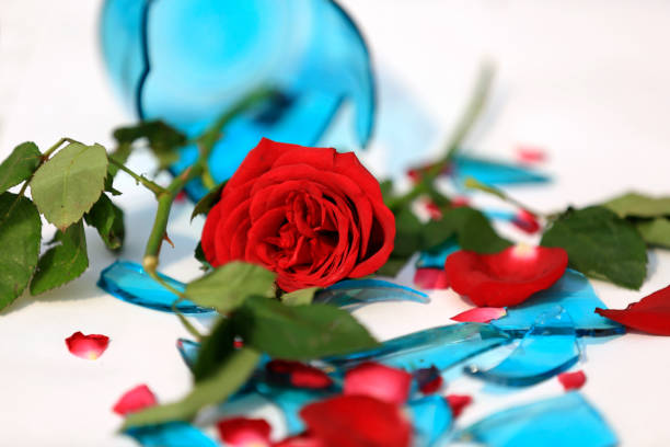Beautiful red rose with stem on broken mirror for concept of a broken relationship or marriage