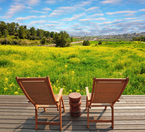 istock Two comfortable sun loungers 1477099932