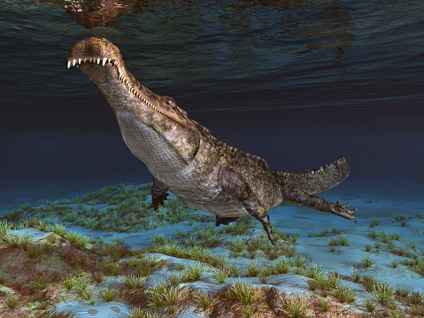 Computer generated 3D illustration with the prehistoric crocodile Sarcosuchus underwater