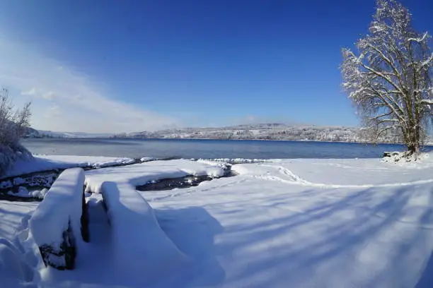 Lower part of Lake Constance seen from the freshly snow-covered shore of Steckborn (Switzerland).