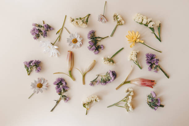 istock Bright creative spring flowers on a light background, Flat lay, mockup with top view. Valentines day 1477101416