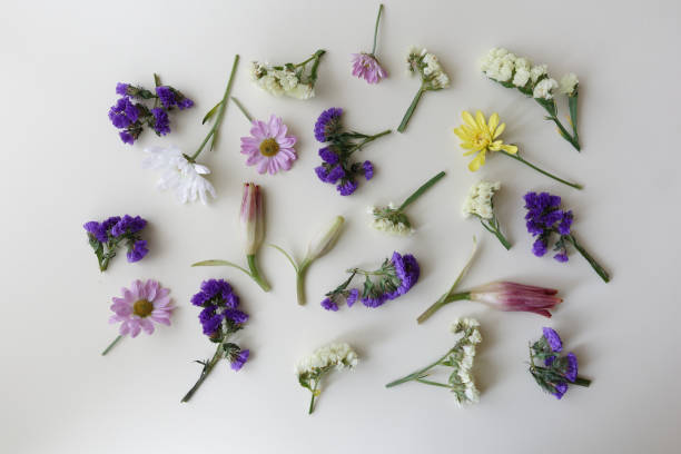 istock Bright creative spring flowers on a light background, Flat lay, mockup with top view. Valentines day 1477101665