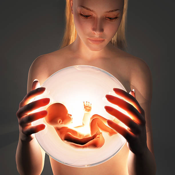 mutter und embryo - human pregnancy earth globe mother stock-fotos und bilder