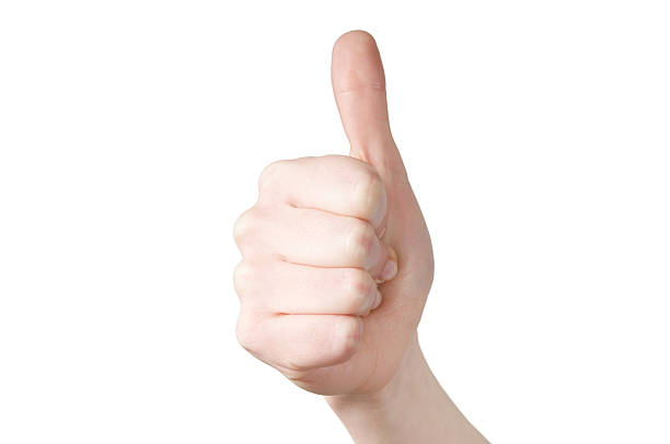 istock Hand giving a thumbs up on a white background 147710263