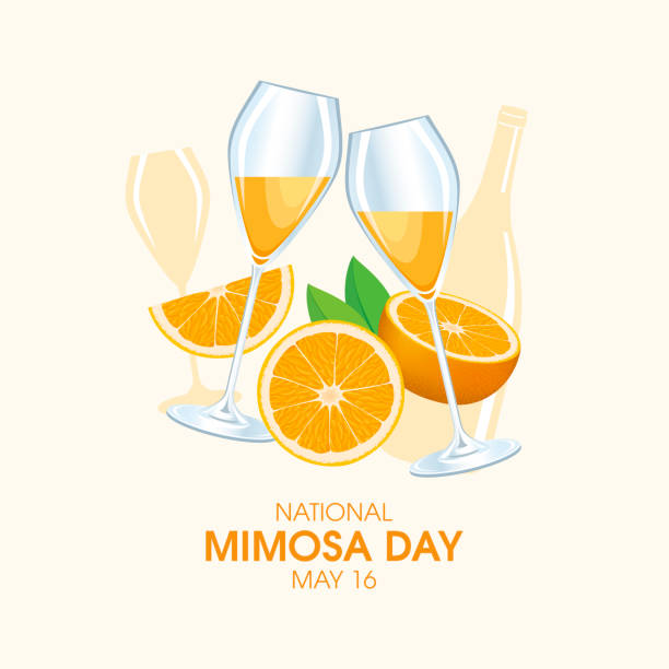 イラスト mimosa 40+ Mimosa Toast Stock Illustrations, Royalty-Free Vector Graphics