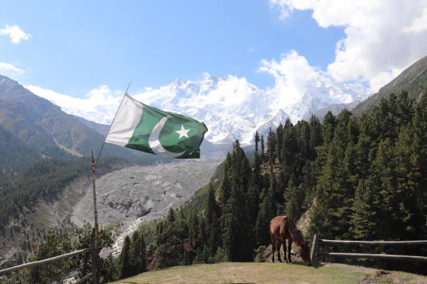 istock Nanga Parbat, Fairy Meadows, Pakistan 1477109183
