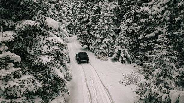 雪に覆われた林道を走る黒い4x4オフロード、雪に覆われた松林を通る冬のロードトリップ、冬の田舎道を運転する、冬の山でジープ - drivers point of view country road snowing blizzard ストックフォトと画像