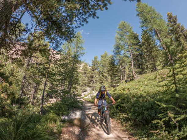 istock Mountain biker descends trail in the Alps 1477116362