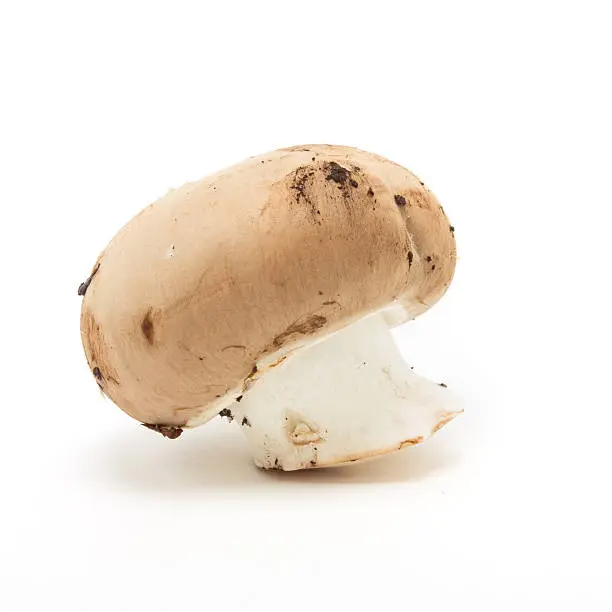 Chestnut Mushrooms from low viewpoint isolated against white background.