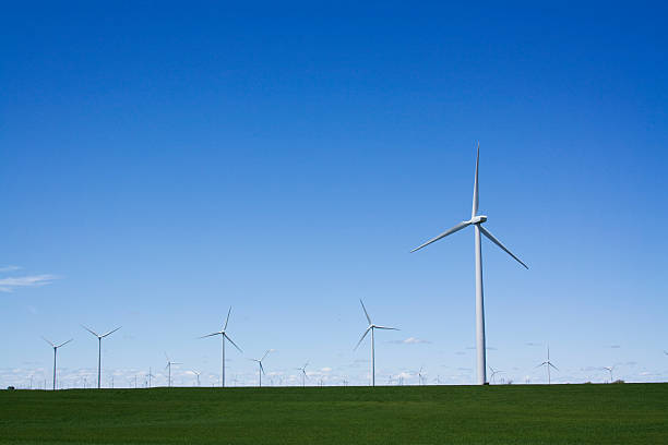 Field of Windmills stock photo