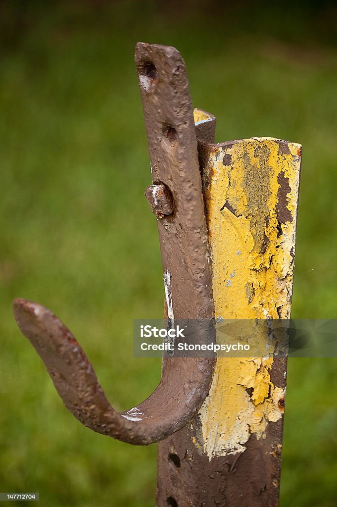 Jay Hook - Lizenzfrei Braun Stock-Foto