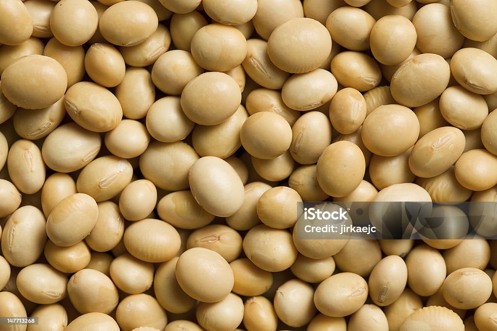 soya beans background the photo shot of soya beans background Bean Stock Photo