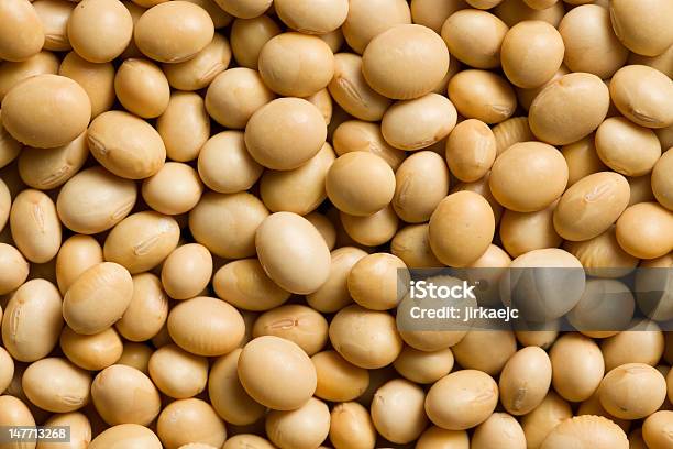 Soya Beans Background Stock Photo - Download Image Now - Bean, Close-up, Dry