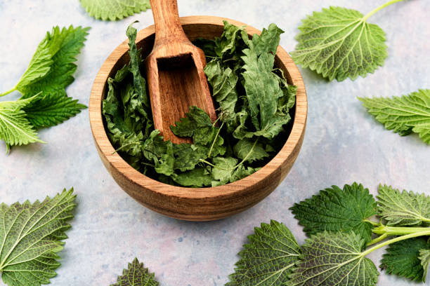 istock Fresh and dry nettle, stinging nettles 1477136710