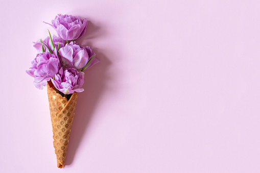 Wafer cone with tulips on a pink background. Flower ice cream, spring concept with first flowers, mother's day, top view.