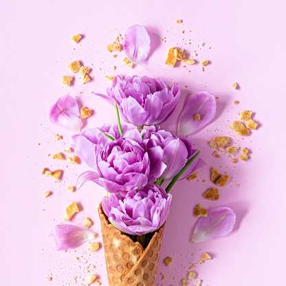 Wafer cone with tulips on a pink background. Flower ice cream, spring concept with first flowers, mother's day, top view.