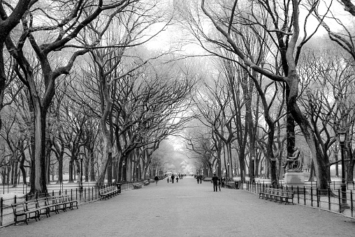 The tree-lined Mall in early spring, Central Park, NYC Central Park, New York City - USA: The Mall in early spring looking towards Bethesda Fountain. Wide walkway covered in canopy of bare trees. Vanishing point and diminishing perspective. Black and white.