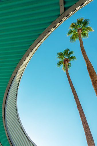 Palm Springs City Hall, palm trees and modern architecture, California