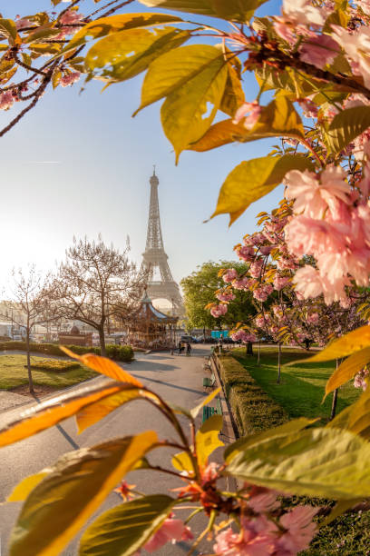 istock Eiffel Tower during beautiful spring time in Paris, France 1477145937