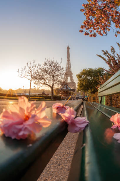 istock Eiffel Tower during beautiful spring time in Paris, France 1477145979