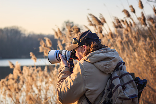 Wildlife photographer with camera photographing bird on lake at sunset. Man with backpack hiking in nature