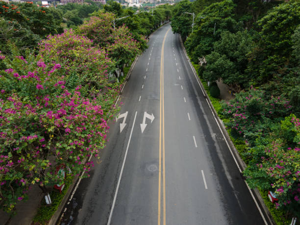 istock A city road lined with green trees 1477147019