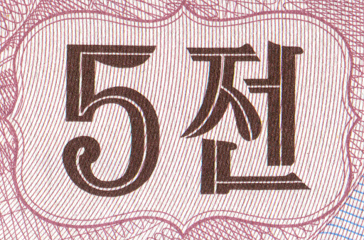 Macro detailed text on a 5 euro banknotes. Hi res photo.