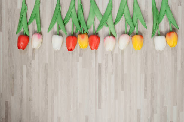 minimal flat lay springtime concept with colorful tulip on modern wood background and copy space