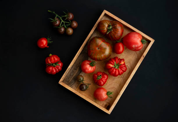 istock Kitchen still life, tomatoes of different sizes and varieties on a dark background. A stylish poster, advertising a cafe, restaurant, supermarket. The concept of proper nutrition. Vegetarianism. 1477152776