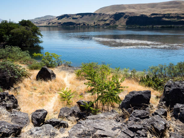 コロンビア川、ホースシーフ湖州立公園、ワシントン州、アメリカ合衆国 - columbia oregon ストックフォトと画像