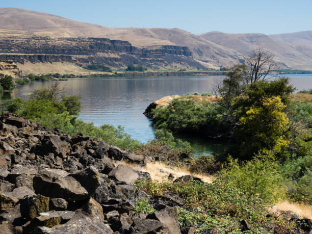 コロンビア川、ホースシーフ湖州立公園、ワシントン州、アメリカ合衆国 - columbia oregon ストックフォトと画像