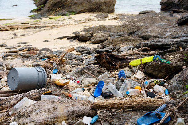 istock Marine litter such as plastic littering the coast, Okinawa 1477158929