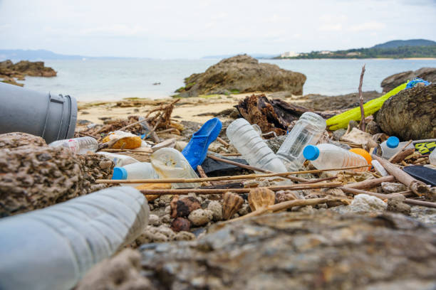 沖縄沿岸にゴミを散らかすプラスチックなどの海洋ごみ