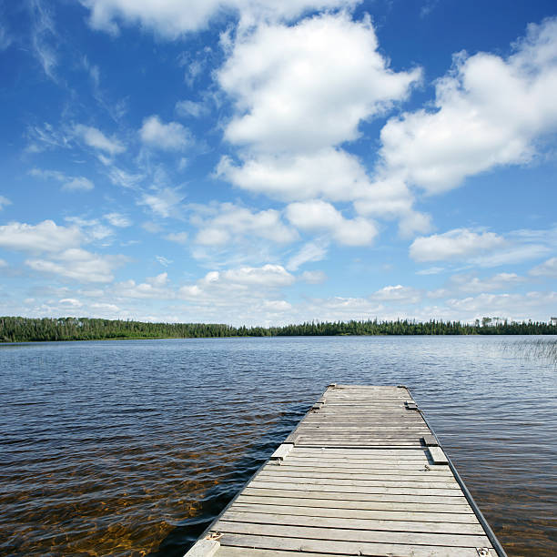 xxxl 야생지대 레이브 - manitoba north lake canada 뉴스 사진 이미지