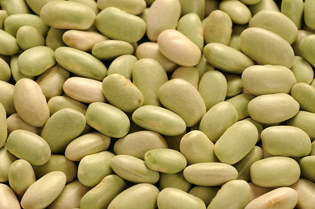 콩 - flageolet bean 뉴스 사진 이미지