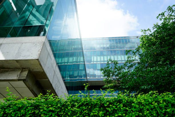 edificio ecológico sostenible. edificio ecológico en la ciudad moderna. edificio de oficinas de vidrio sostenible con árbol para reducir el dióxido de carbono. oficina con entorno verde. los edificios corporativos reducen el co2. - facade architecture asia built structure fotografías e imágenes de stock